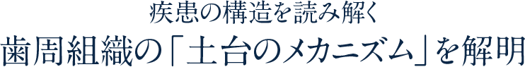 疾患の構造を読み解く歯周組織の「土台のメカニズム」を解明
